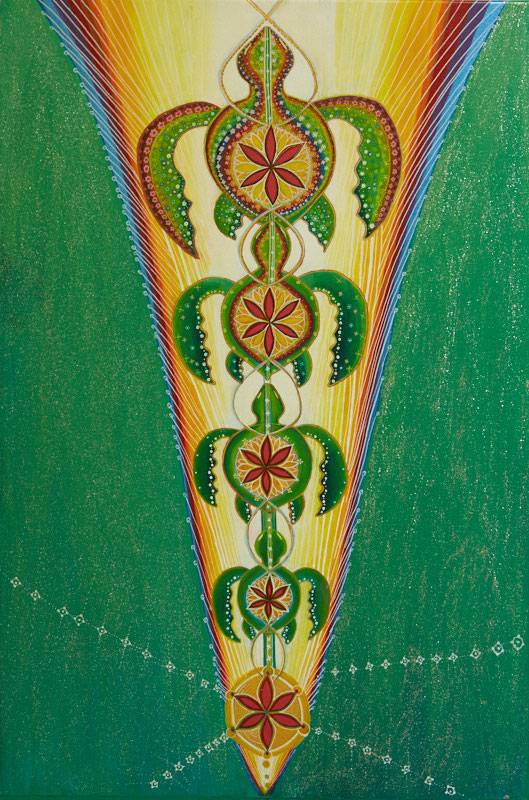 Rainbow Turtle Transformation