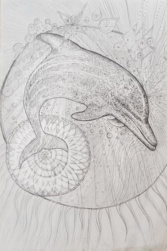 Golden Dolphin Transformation 