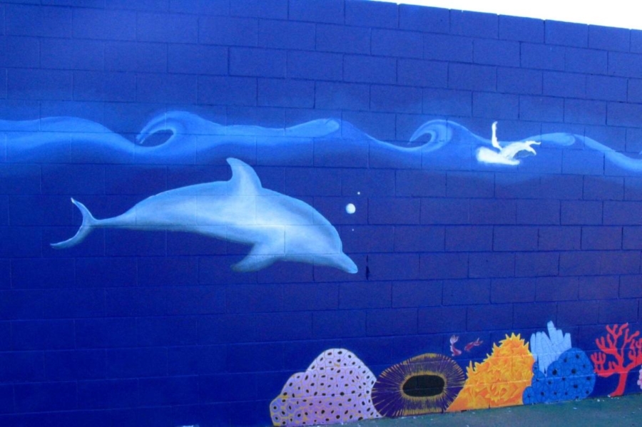 miami-primary-dolphin